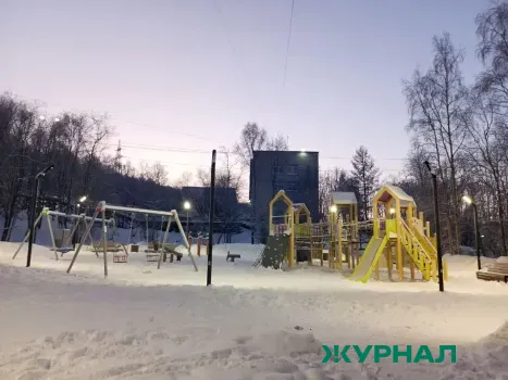 Специалисты Минлесхоза не нашли рысь у детского сада на Бору