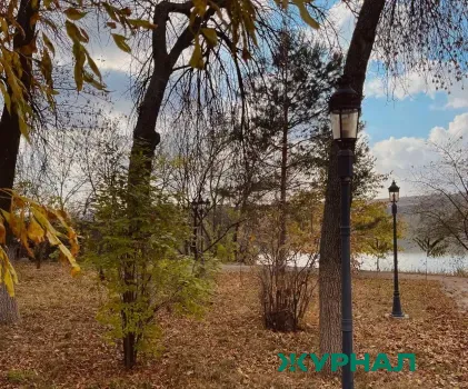 Шалабаев поручил обеспечить защиту нижегородских лесов от пожаров