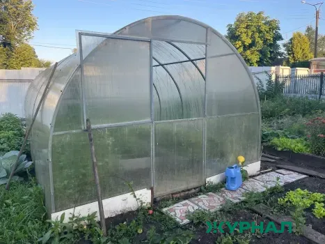 Нижегородцы планируют в среднем потратить 31&thinsp;000 рублей на дачный сезон