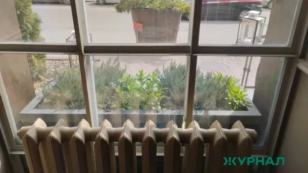 Мытье окон перед Пасхой: эксперты объяснили его психологическую пользу для нижегородцев