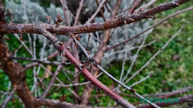 Апрель в Нижегородской области ожидается теплее, чем в прошлом году