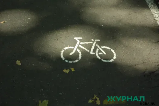 В Нижнем Новгороде планируют велодорожку на Молодежном проспекте