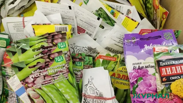 Россельхознадзор выявил нарушения у нижегородских продавцов семян