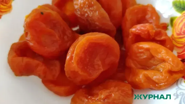 В аэропорту Нижнего Новгорода сожгли 16 кг сухофруктов, ввезённых из Узбекистана