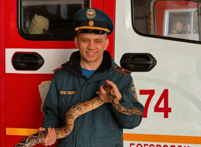 В Богородске сотрудники МЧС спасли застрявшего в санузла питона