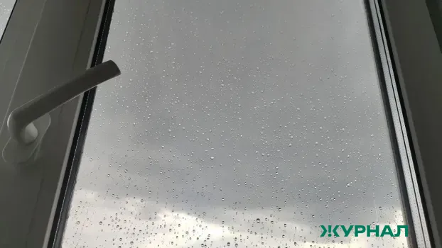 Пасмурные и дождливые выходные ожидают жителей Нижегородской области