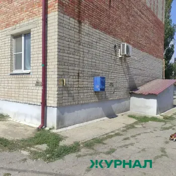 В Нижнем Новгороде щенка выбросили из окна третьего этажа