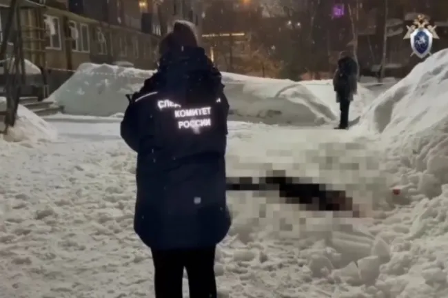 Два человека предстанут перед судом за смерть нижегородки из-за наледи