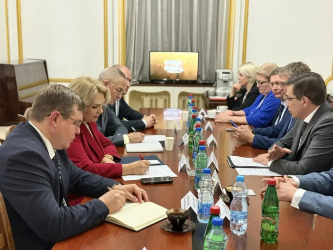 Нижний Новгород и Сремски Карловци обсудят побратимство и сотрудничество