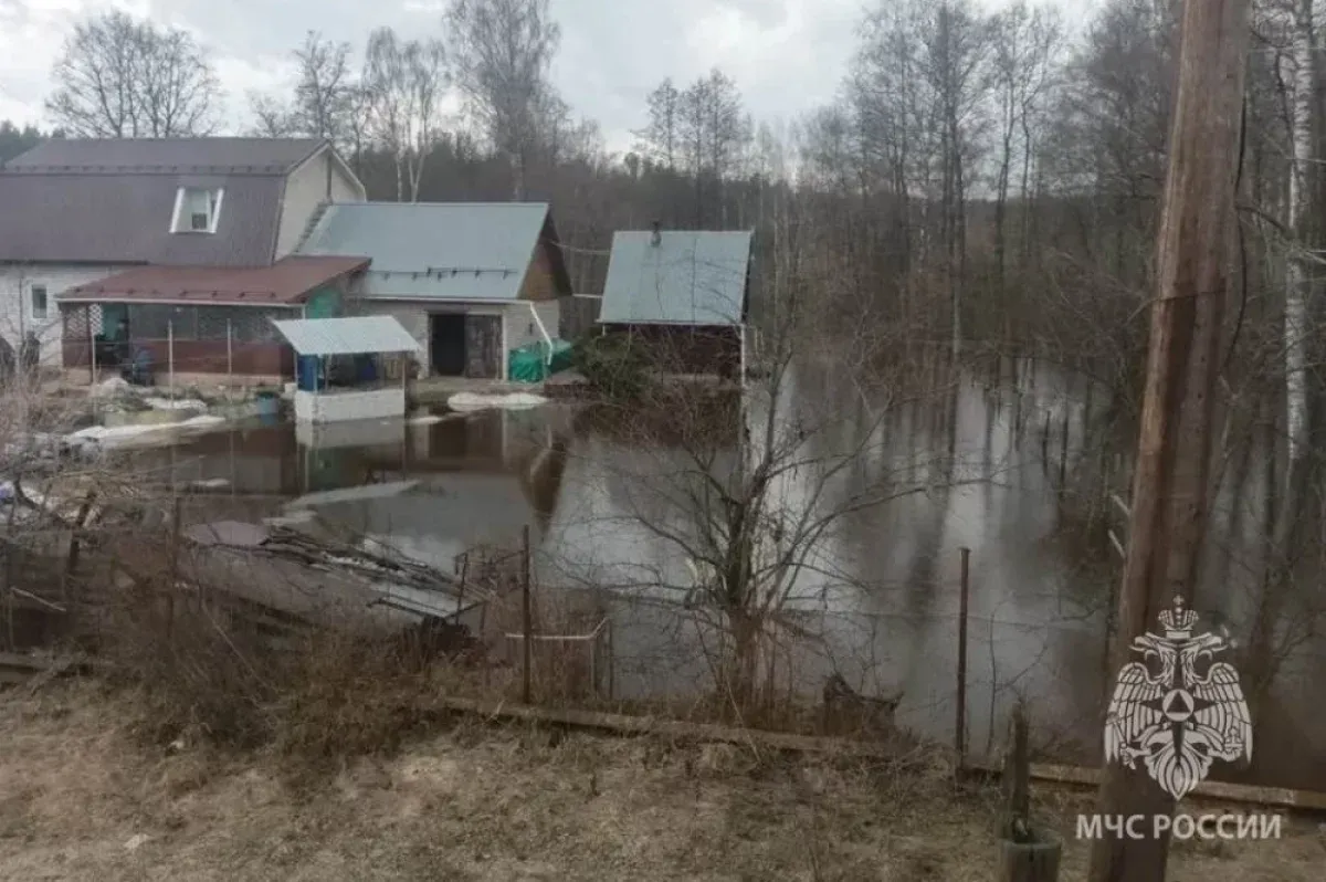 Паводок в Нижегородской области: затоплены участки в 19 муниципалитетах