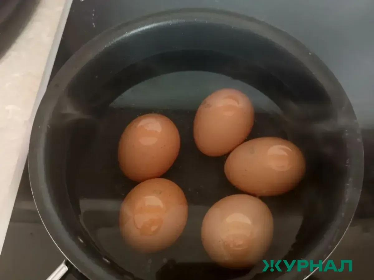 Нижегородцы оценили куриные яйца на дегустации перед Пасхой