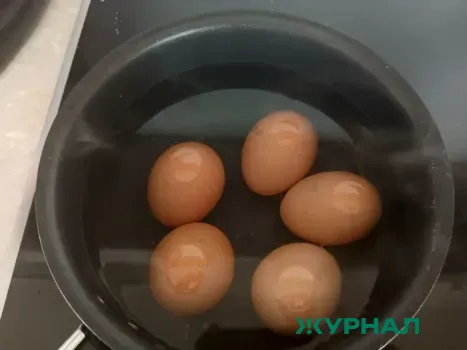 Нижегородцы оценили куриные яйца на дегустации перед Пасхой