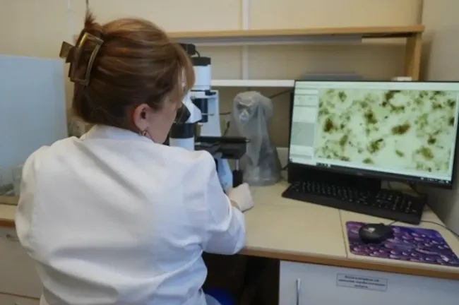 Нижегородские предприятия выплатили 80 миллионов рублей за ущерб водоотведению