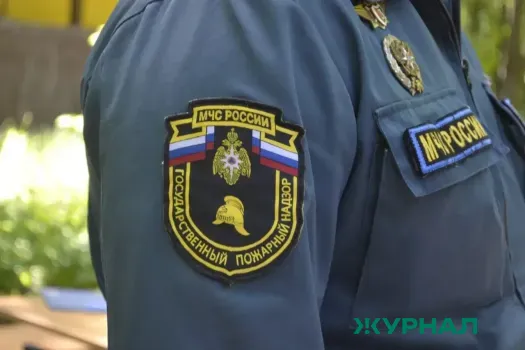 МЧС предупреждает о сильном ветре и возможных ЧС в Нижегородской области