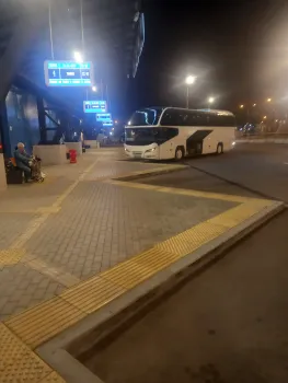 Новый автобусный маршрут Сокольское &mdash; Нижний Новгород с остановкой в Городце начнёт работать с конца апреля