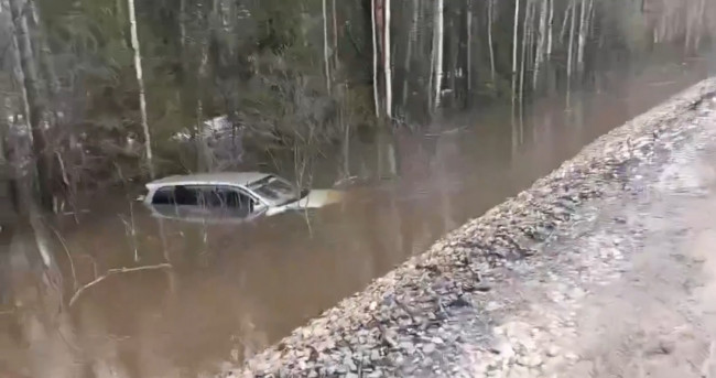 Иномарка вылетела в кювет и затонула в Воскресенском округе