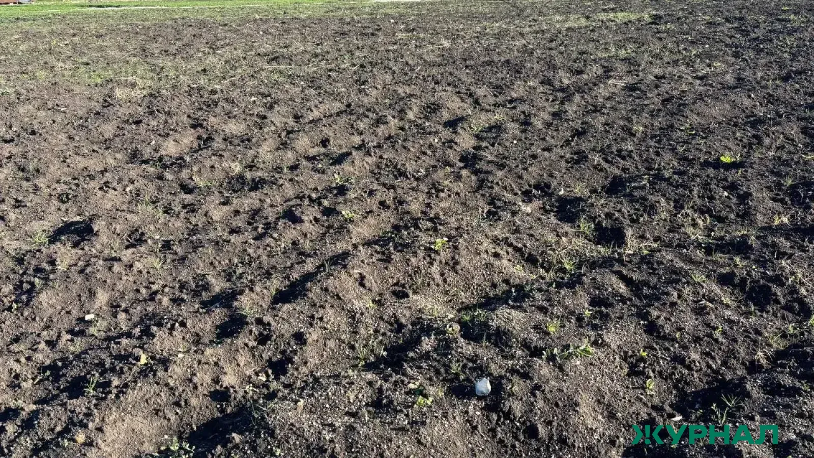 Нижегородский Россельхознадзор выявил снижение плодородия почвы в Борском округе