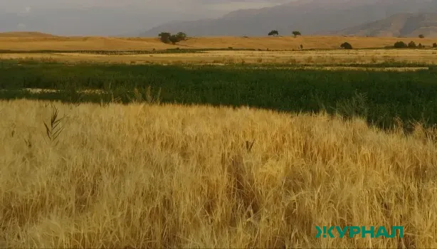 Депутаты Нижнего Новгорода обсудили развитие сельского хозяйства в регионе