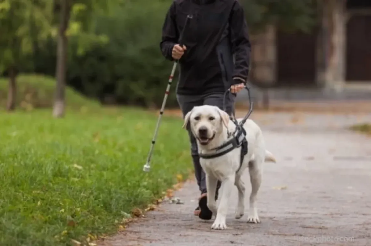 Фото: Евгений Люлин в Telegram