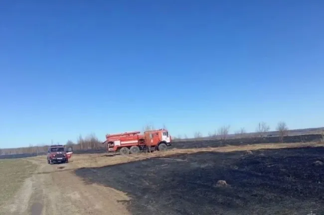 Пожар сухой травы в Кстовском районе ликвидирован на площади в два гектара