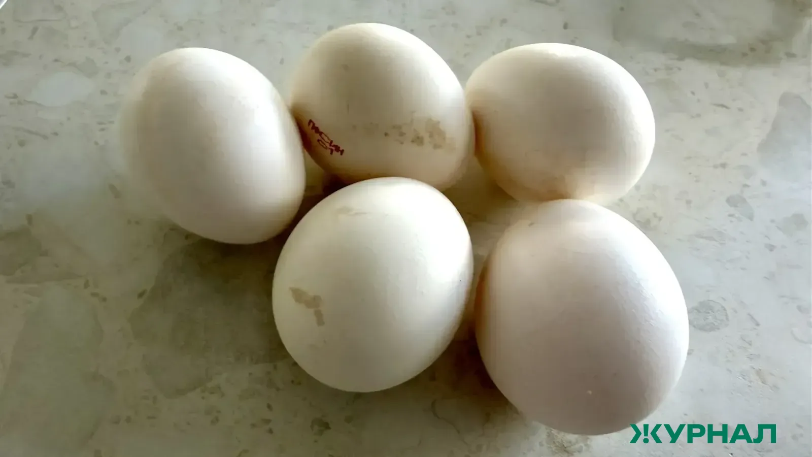 Нижегородская область вошла в пятерку лидеров ПФО по производству яиц и молока