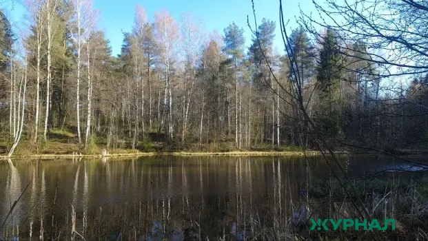Труп мужчины найден в водоеме в Урене