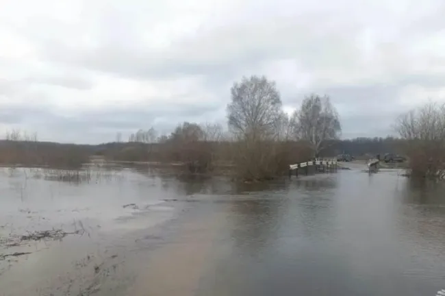 Паводок в Нижегородской области: затопило низководный мост в Павловском округе