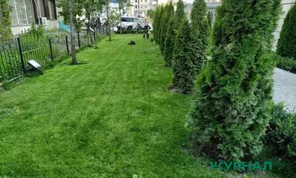 В Нижегородской области вырастят 15 миллионов деревьев в питомниках