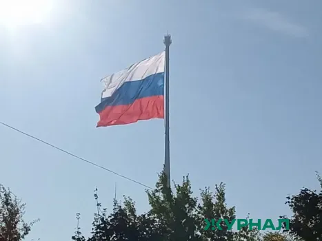 Более 100 сирийцев получили временное убежище в Нижегородской области