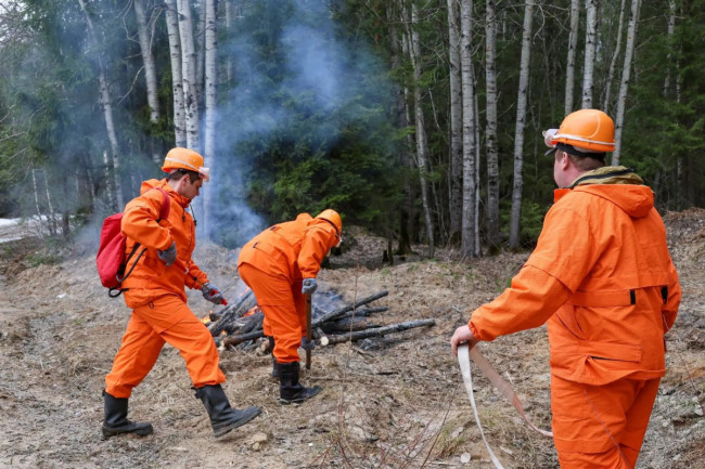 Учения по тушению лесных пожаров прошли в Михайловском лесничестве