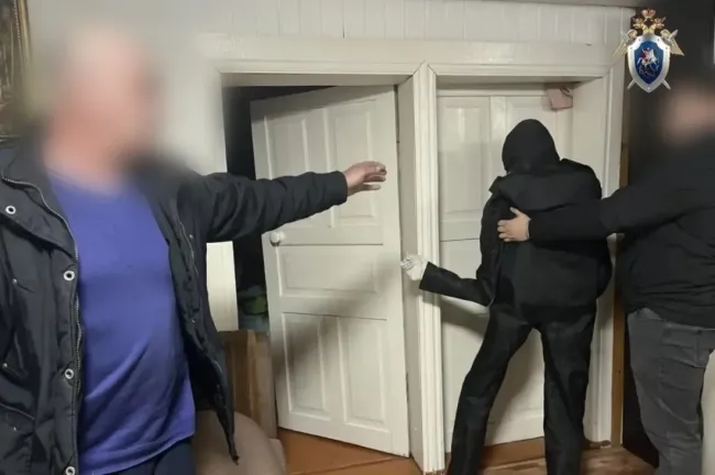 Житель Кулебакского округа обвинили в убийстве собственной дочери