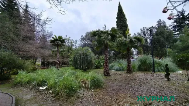 В Нижнем Новгороде создадут АНО для благоустройства территорий и экологии