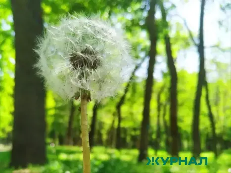 Потепление до +21°С ожидается в Нижнем Новгороде после майских выходных