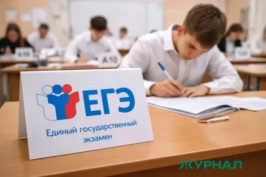 Нижегородская &laquo;Школа 800&raquo; представила план развития и ожидаемые результаты ЕГЭ