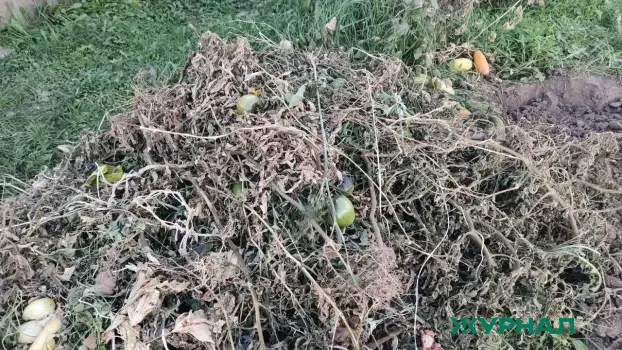 Агрофирма в Нижегородской области оштрафована за свалку отходов