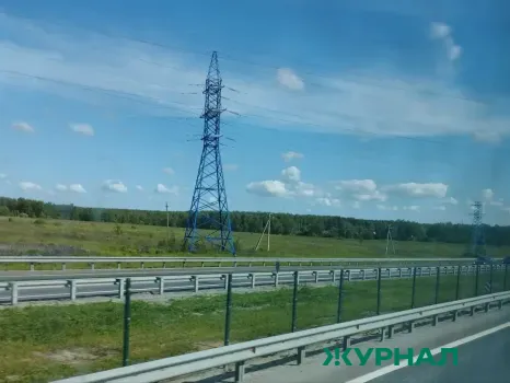 Энергетики напоминают о безопасности при обрезке деревьев у ЛЭП