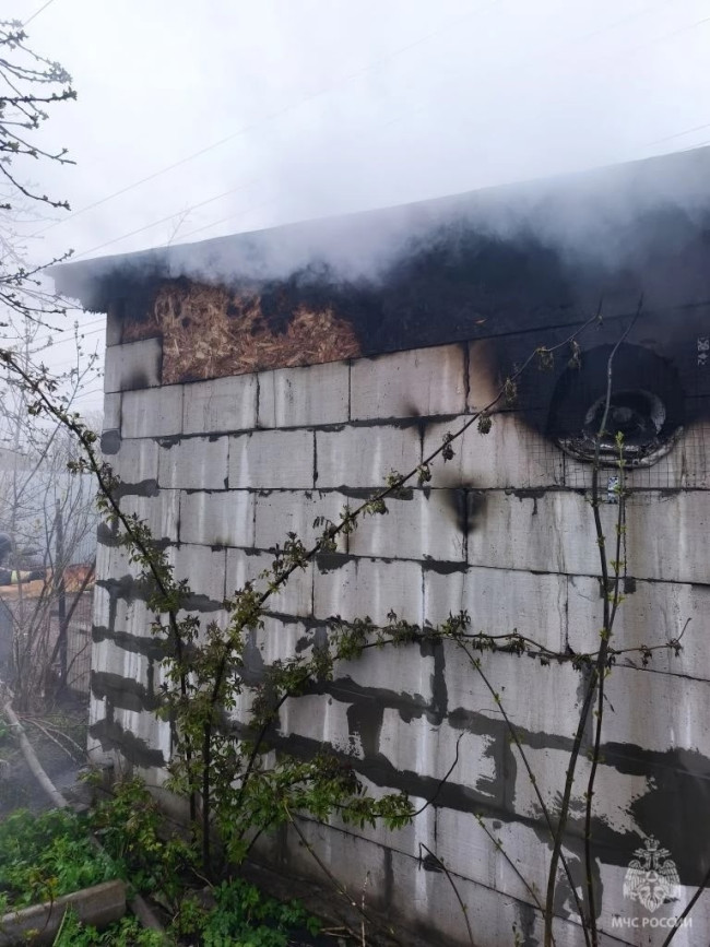 Пожар в Ленинском районе унес жизни около 200 собак