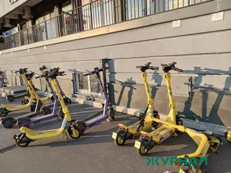 Депутаты Нижегородской области требуют ускорить принятие поправок к КоАП для СИМ