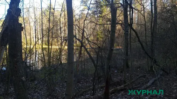 В лесах Нижегородской области установился второй и третий класс пожароопасности