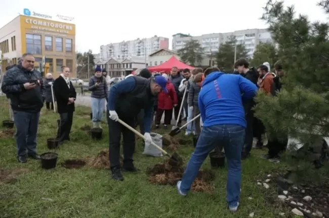 90 кустов спиреи высадили в Дзержинске для озеленения парка