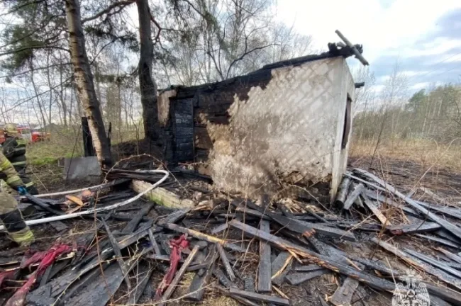 Поджигателя заброшенных построек разыскивают в Нижегородской области