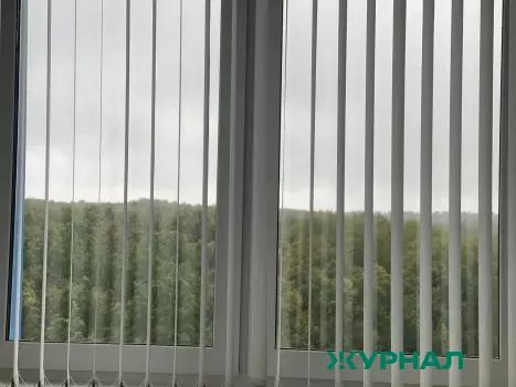 НГПУ выделил 6,4 млн рублей на бронирование стекол в учебных корпусах
