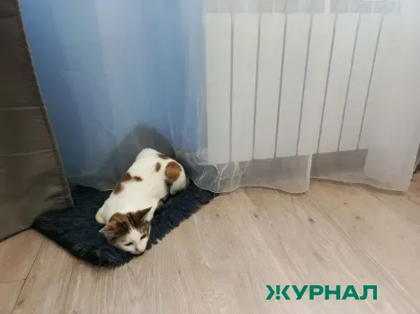 Отопительный сезон в Нижнем Новгороде официально завершен
