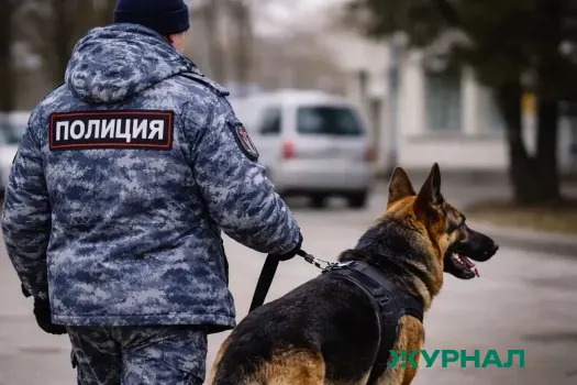 Полицейские Нижегородской области помогли матери найти пропавшего сына