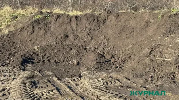 Карстовые провалы возникли в садоводческом товариществе Арзамаса
