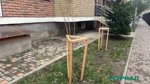 Врачи Воротынской ЦРБ высадили деревья в рамках акции &laquo;Сад Памяти&raquo;
