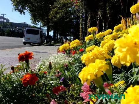 Потепление до +28°С ожидается в Нижнем Новгороде на следующей неделе