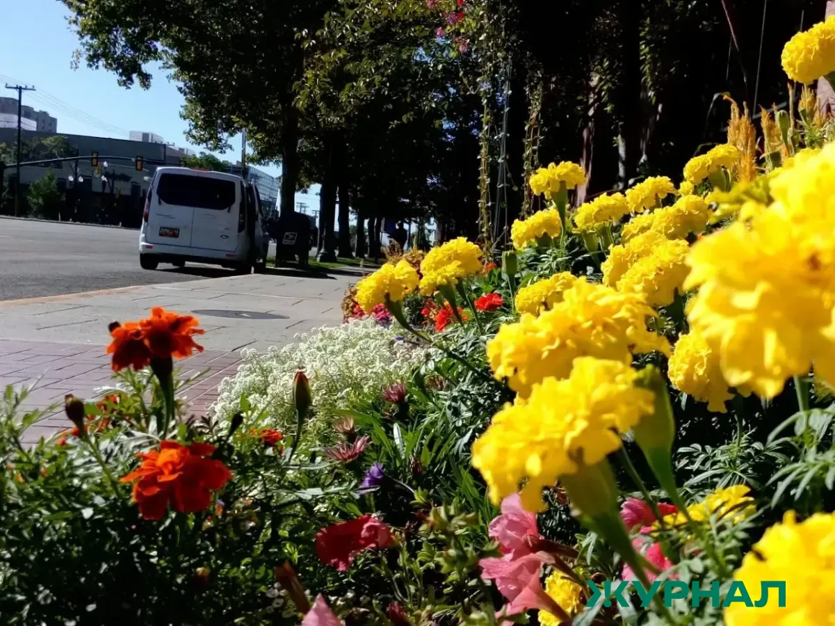 Потепление до +28°С ожидается в Нижнем Новгороде на следующей неделе