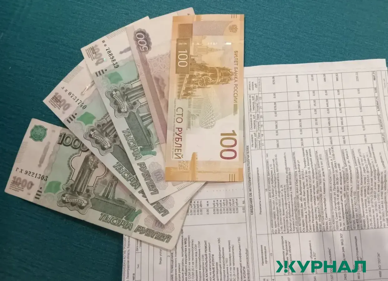 Бастрыкин поручил проверить жалобы жителей Выксы на высокие счета за электричество
