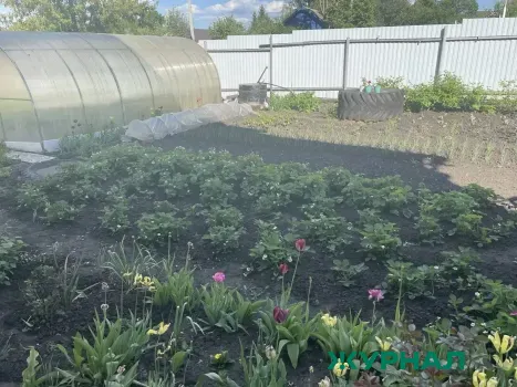 Аптекарский огород откроется у Дома Эвениуса в Нижнем Новгороде в июне